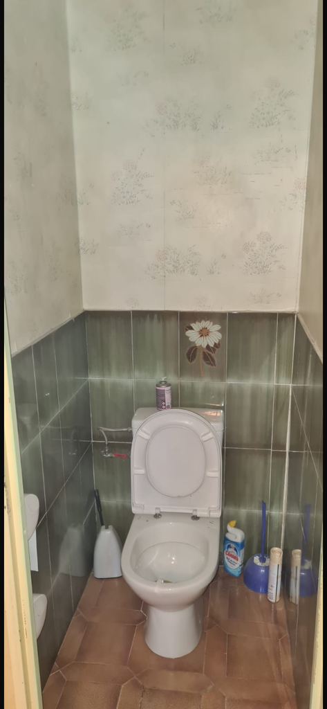 WC avant rénovation intérieure